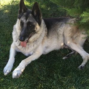 Meet your Posher, Eli